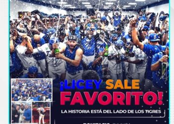 ¡Tigres del Licey favoritos para ser campeones!