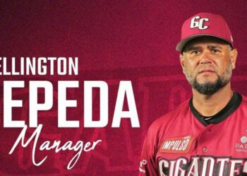 Wellington Cepeda, escogido como Dirigente del Año en LIDOM