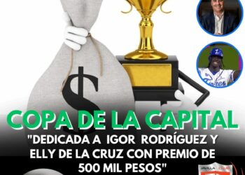 Copa de la Capital: Darán 500 mil pesos a la liga ganadora