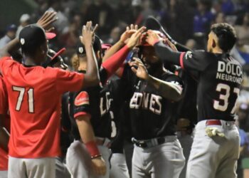 Leones vencen 14-2 al Licey