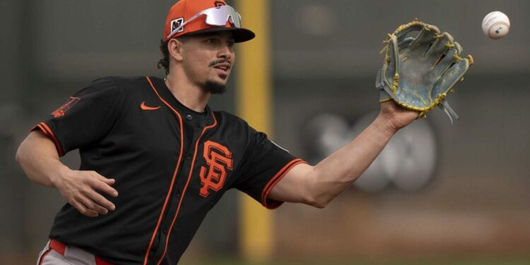 Willy Adames: “Este es el año de jugar con los Tigres del Licey”