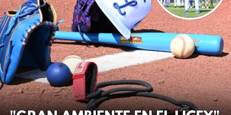 Licey respira optimismo